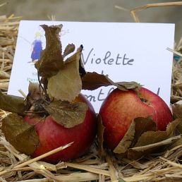 Violette de Monbéliard
