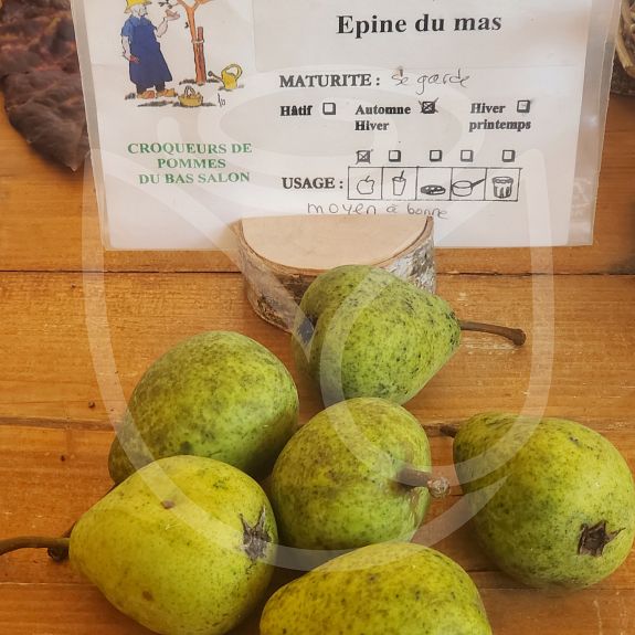 Duc de Bordeaux