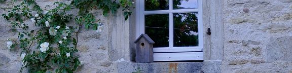 Rosiers grimpants pour mur et façade